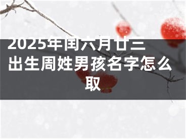 2025年闰六月廿三出生周姓男孩名字怎么取