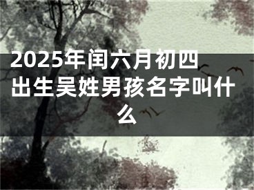2025年闰六月初四出生吴姓男孩名字叫什么