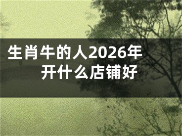 生肖牛的人2026年开什么店铺好