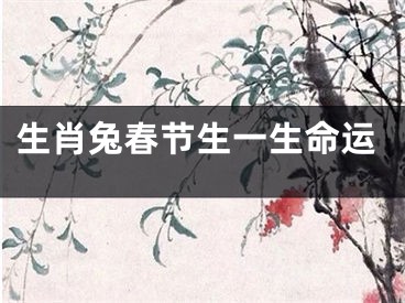 生肖兔春节生一生命运