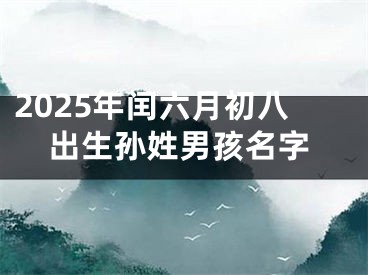 2025年闰六月初八出生孙姓男孩名字