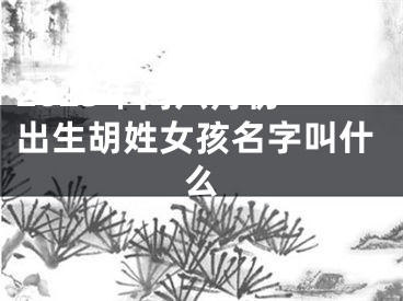 2025年闰六月初一出生胡姓女孩名字叫什么