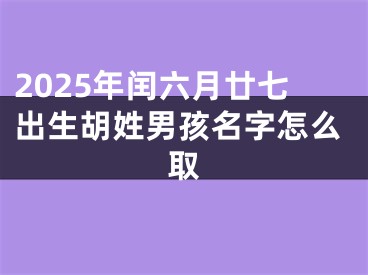 2025年闰六月廿七出生胡姓男孩名字怎么取