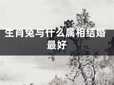生肖兔与什么属相结婚最好