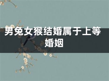男兔女猴结婚属于上等婚姻