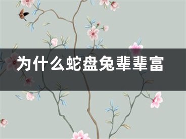 为什么蛇盘兔辈辈富