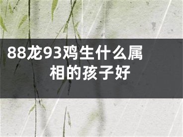 88龙93鸡生什么属相的孩子好