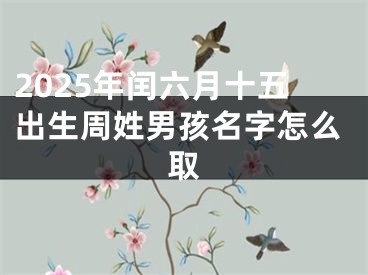 2025年闰六月十五出生周姓男孩名字怎么取
