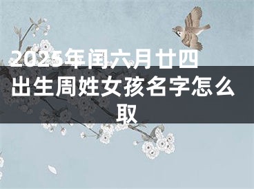 2025年闰六月廿四出生周姓女孩名字怎么取