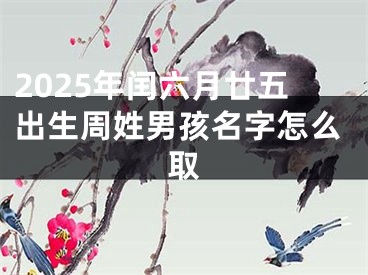 2025年闰六月廿五出生周姓男孩名字怎么取