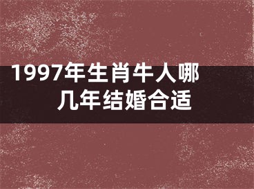 1997年生肖牛人哪几年结婚合适