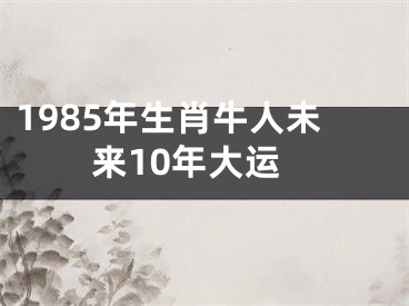 1985年生肖牛人未来10年大运
