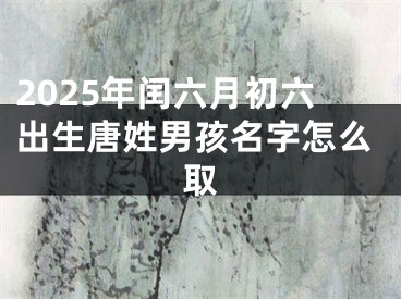 2025年闰六月初六出生唐姓男孩名字怎么取