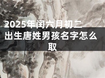 2025年闰六月初二出生唐姓男孩名字怎么取