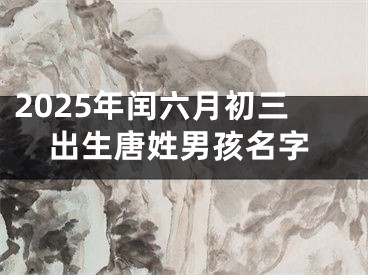 2025年闰六月初三出生唐姓男孩名字