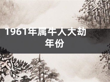 1961年属牛人大劫年份