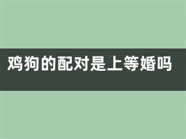 鸡狗的配对是上等婚吗