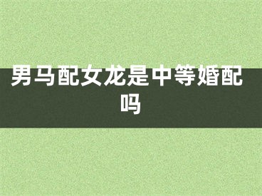 男马配女龙是中等婚配吗