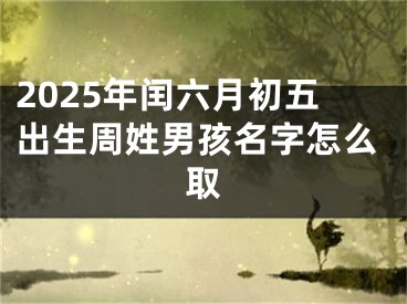 2025年闰六月初五出生周姓男孩名字怎么取