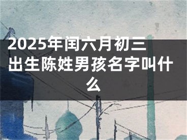 2025年闰六月初三出生陈姓男孩名字叫什么