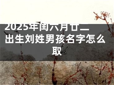 2025年闰六月廿二出生刘姓男孩名字怎么取