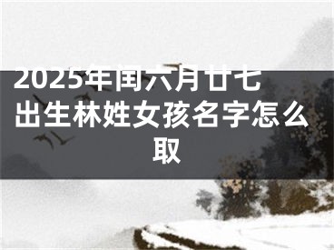 2025年闰六月廿七出生林姓女孩名字怎么取