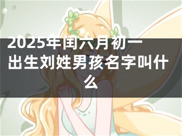 2025年闰六月初一出生刘姓男孩名字叫什么