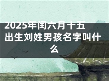 2025年闰六月十五出生刘姓男孩名字叫什么