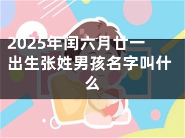 2025年闰六月廿一出生张姓男孩名字叫什么