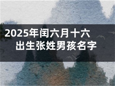 2025年闰六月十六出生张姓男孩名字
