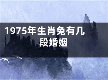 1975年生肖兔有几段婚姻