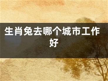 生肖兔去哪个城市工作好