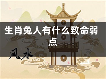 生肖兔人有什么致命弱点