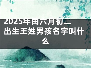 2025年闰六月初二出生王姓男孩名字叫什么