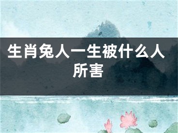 生肖兔人一生被什么人所害