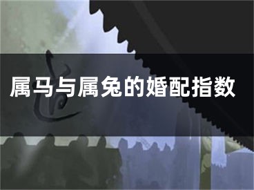 属马与属兔的婚配指数