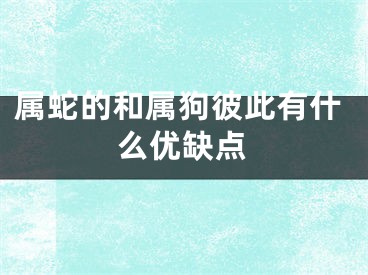 属蛇的和属狗彼此有什么优缺点