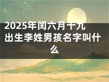 2025年闰六月十九出生李姓男孩名字叫什么