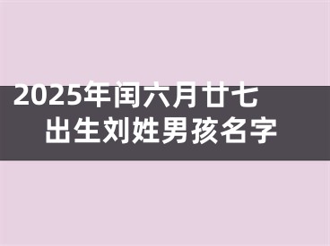 2025年闰六月廿七出生刘姓男孩名字