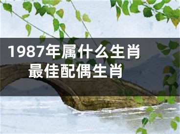 1987年属什么生肖 最佳配偶生肖 