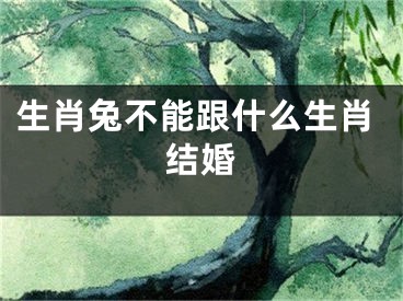 生肖兔不能跟什么生肖结婚