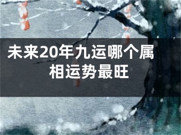未来20年九运哪个属相运势最旺