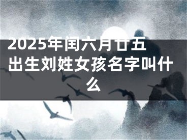 2025年闰六月廿五出生刘姓女孩名字叫什么