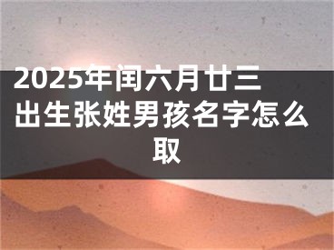 2025年闰六月廿三出生张姓男孩名字怎么取