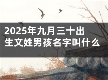 2025年九月三十出生文姓男孩名字叫什么