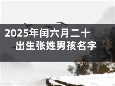 2025年闰六月二十出生张姓男孩名字