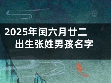 2025年闰六月廿二出生张姓男孩名字