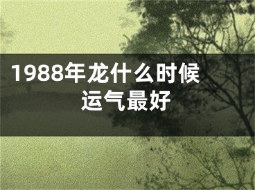 1988年龙什么时候运气最好
