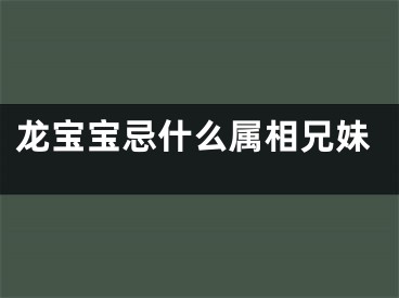 龙宝宝忌什么属相兄妹