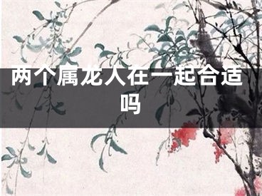 两个属龙人在一起合适吗